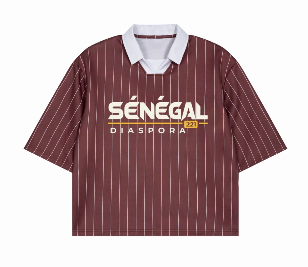 ISSA Diaspora Kit