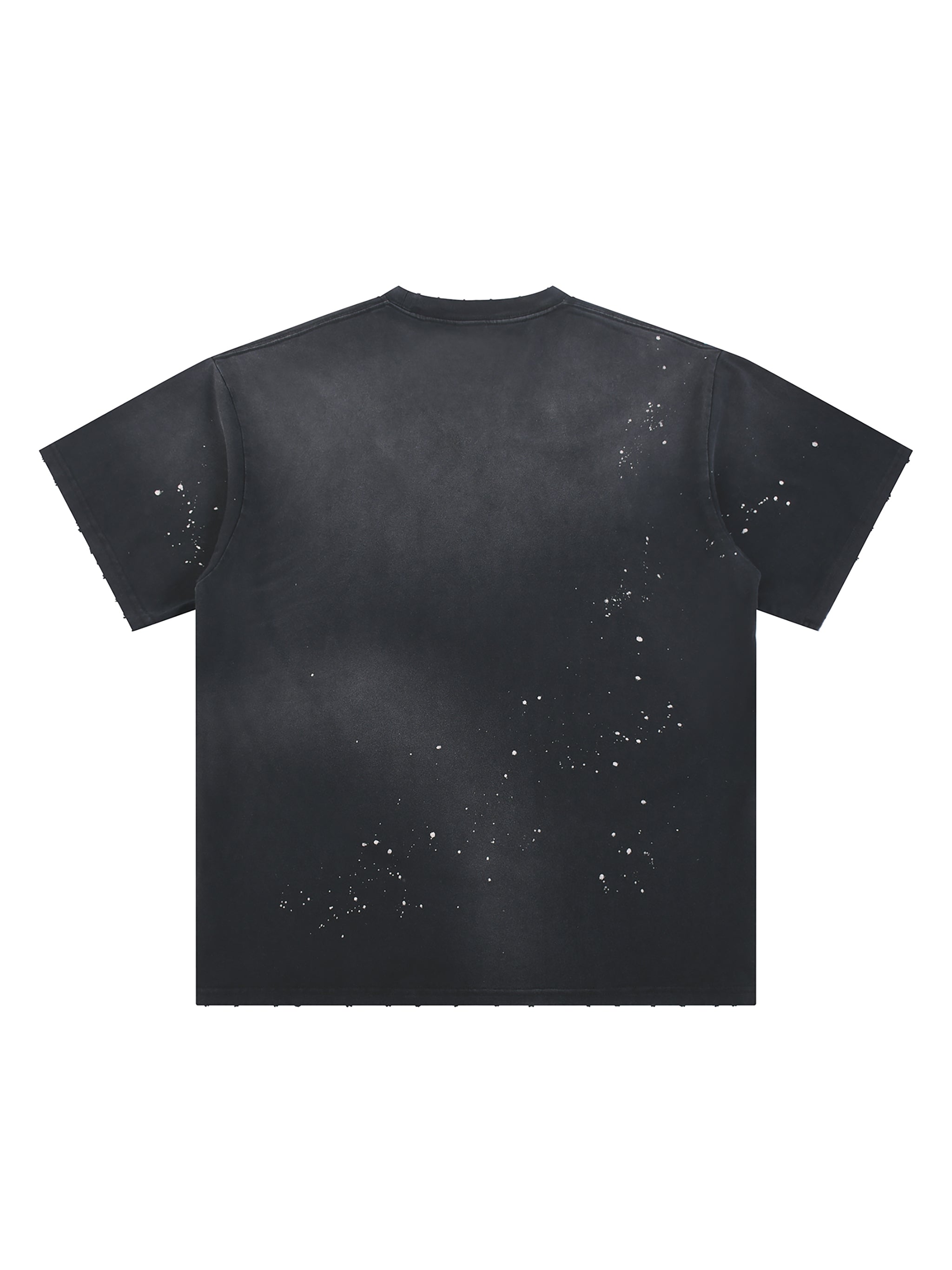 ISSA Washed Graphic Tee